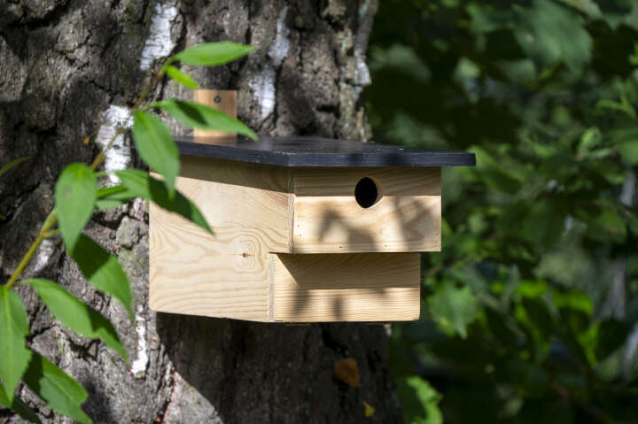 dobar Großer Höhlenbrüternistkasten mit Räuberschutz